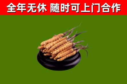 随州市烟酒回收冬虫夏草.jpg